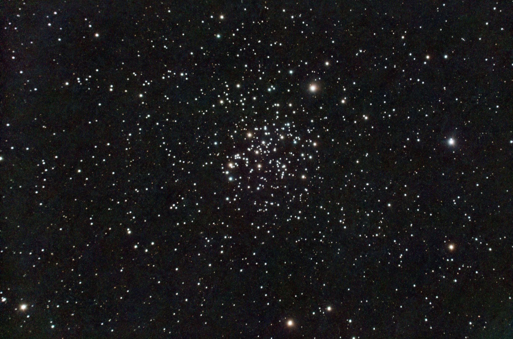Open Cluster in Cancer